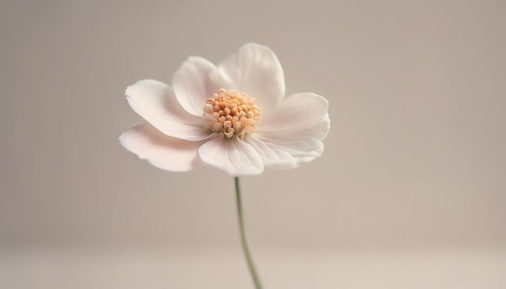 delicate floral beauty showcased