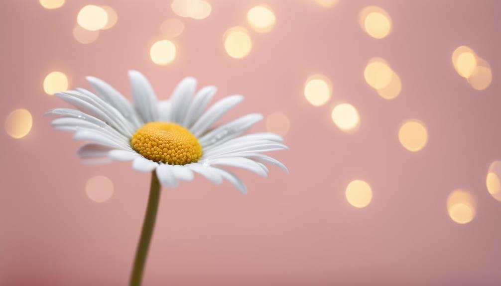 stylish white daisy decor