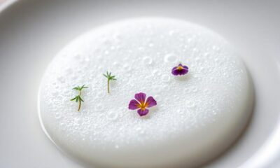 mastering ideal culinary foam