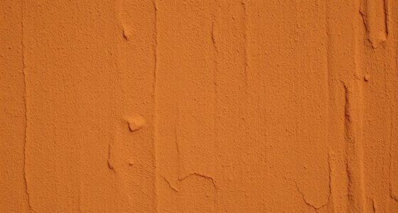 earthy boho clay walls