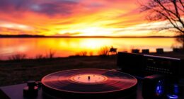 digital sunset analog joy