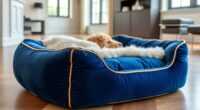 luxurious comfortable dog beds