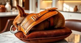 luxury dog harnesses collection