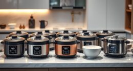 top premium rice cooking devices