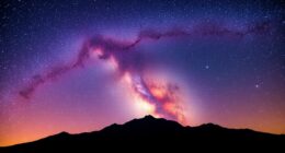 top wide field milky way lenses