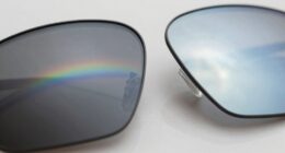 polarized vs uv lenses