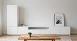 sleek unobtrusive storage solutions