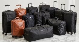 top premium garment bag picks