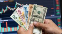 adapting to income fluctuations