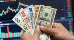 adapting to income fluctuations