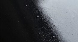 dark polish reveals issues
