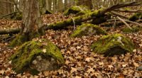 soothing natural color palette