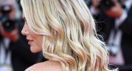 unseen red carpet hairsecret